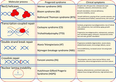 The Central Role Of Dna Damage In The Ageing Process Abstract