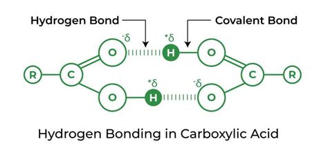 Hydrogen Bonding Definition Types Effects And Properties