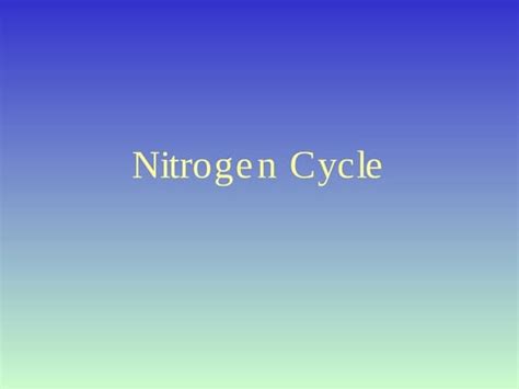 Nitrogen Cycle