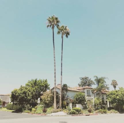 The ultimate neighborhood guide to Beverlywood Los Angeles