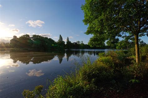 Daumesnil Lake Paris Landscapes Website Buy Fine Art Hassan