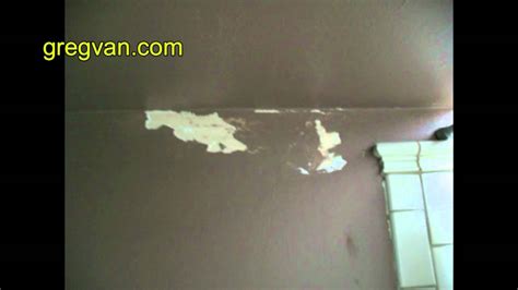 Bathroom Wall Moisture Damage Fix This Immediately Youtube