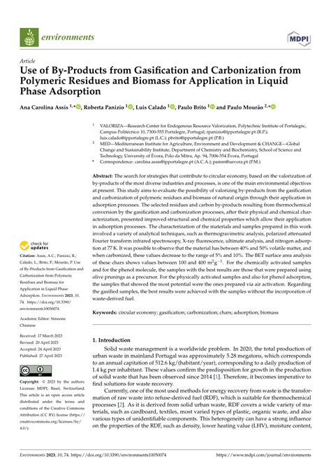 Pdf Use Of By Products From Gasification And Carbonization From