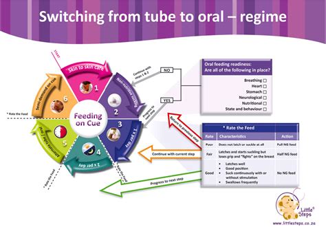 Figure 1 From Clinicians Guide For Cue‐based Transition To Oral Feeding