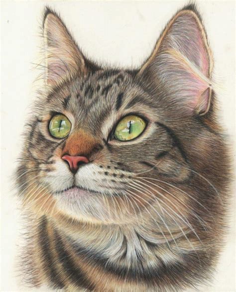 40 Beautiful Colored Pencil Drawings Colored Pencil Art Harunmudak