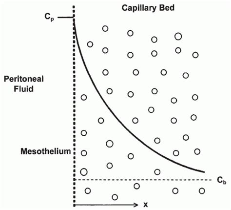 Physiology Of Peritoneal Dialysis Basicmedical Key