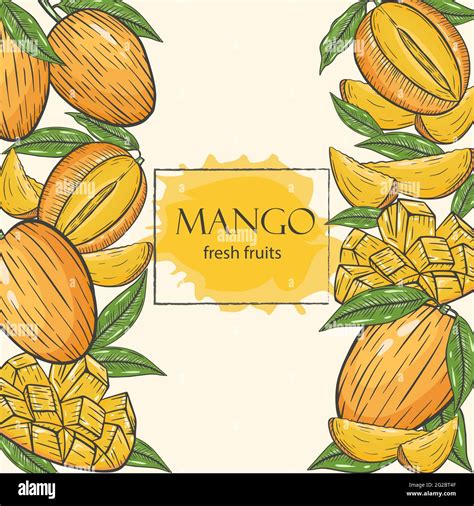 Papel pintado para hojas de mango Imágenes vectoriales de stock Alamy