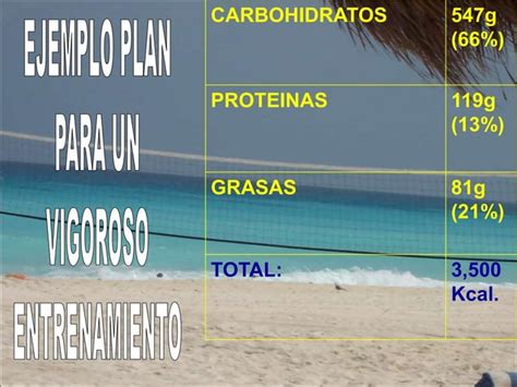 Nutricion En El Voleibol PPT