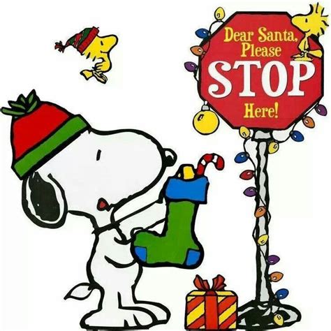 For Mand Snoopy Christmas Charlie Brown Christmas Snoopy