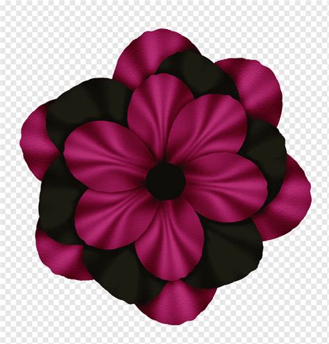 Petal Cut Flowers Magenta Flowering Plant Plant Purple Herbaceous