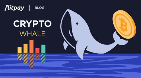 Who Are Crypto Whales And How Can They Influence The Market Flitpay