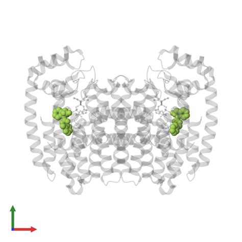 Pdb N Gallery Protein Data Bank In Europe Pdbe Embl Ebi