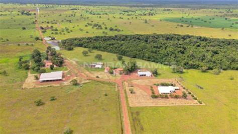 Fazenda à venda Lagoa da Confusão Tocantins Neuran Ramos