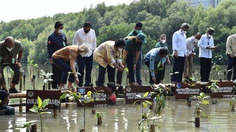 Pengelolaan Mangrove Perlu Dilaksanakan Secara Terintegrasi Dengan