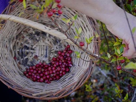 Durante tres jornadas se celebrará una nueva edición de la tradicional