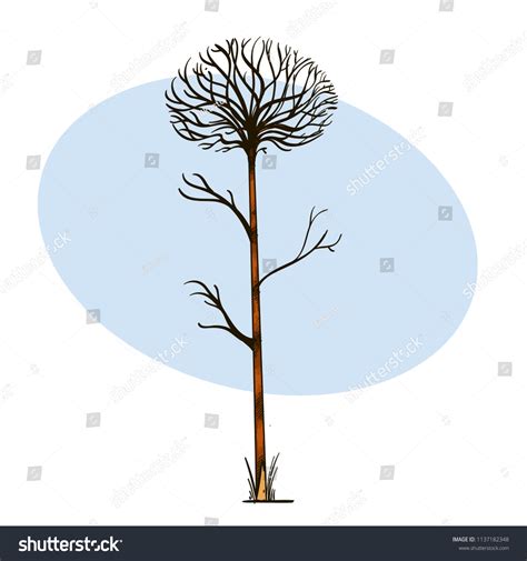 Bare Tree Hand Drawn Sketch Style Stock Vector (Royalty Free ...