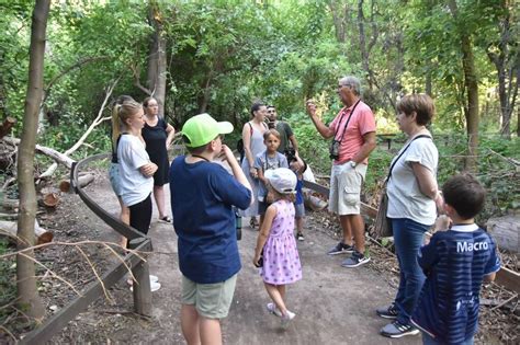 El Día Mundial de la Educación Ambiental se celebra en el Bosquecito