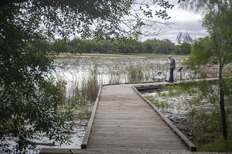 I-20 Wildlife Preserve to present documentary during trio of events