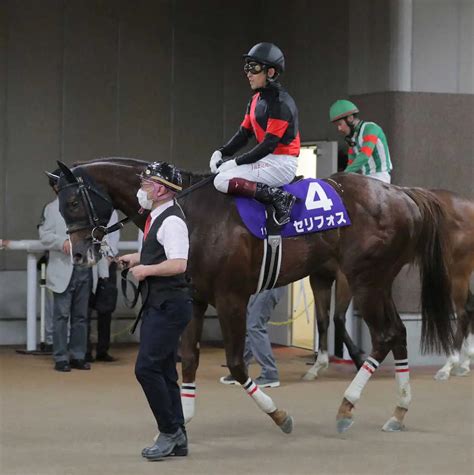 【nhkマイルc】セリフォス 最内で伸びるも4着、福永「最後は伸びあぐねた」 スポニチ競馬web