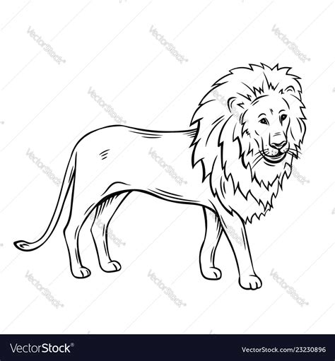 outline lion icon royalty  vector image vectorstock