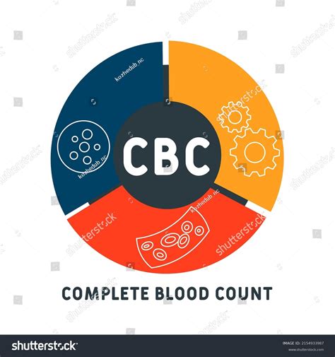 Cbc Complete Blood Count Acronym Business Stock Vector (Royalty Free