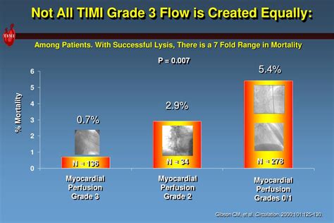 timi  flow powerpoint    id