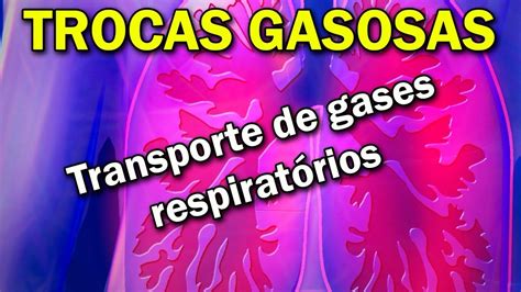 As Trocas Gasosas No Pulmao Humano Em Condicoes Normais Ocorrem - FDPLEARN