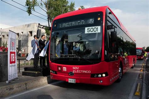 Lomito Viajero Estas Son Las Formas En Las Que Tu Mascota Puede Viajar