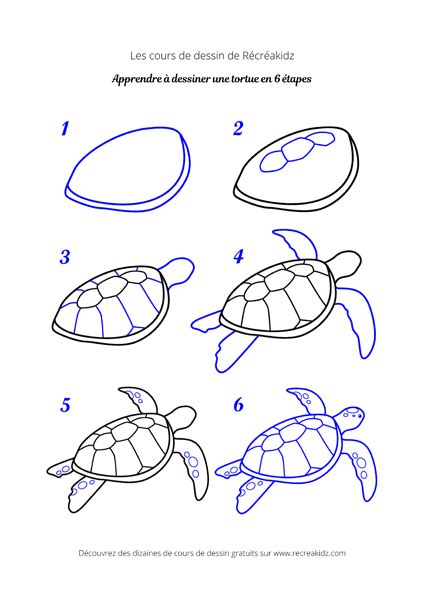 Comment Dessiner Une Tortue Dessin Tortue Facile Par Tapes