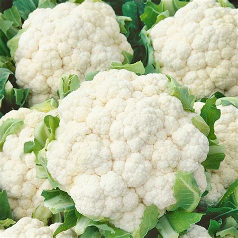 Cauliflower Early Snowball Seeds