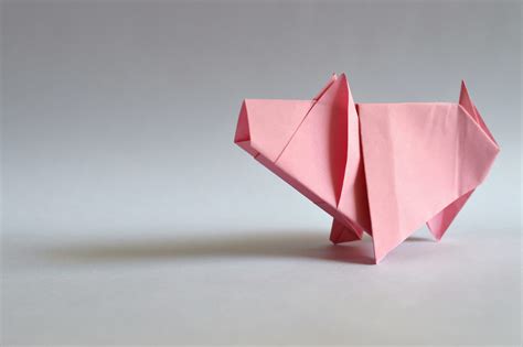 Origami Dla Dzieci Samolot Kwiaty Ab D Tulipan I Inne Wzory Krok