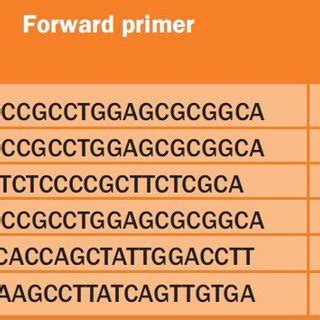 Applied Biosystems Taqman RT QPCR Assay Identification Number