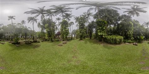 Lush Courtyard With Palm Trees A Botanical Garden Oasis HDRi Maps