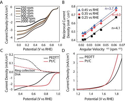 Electrocatalytic Performance Of PEDTT In ORR And OER A Linear Sweep