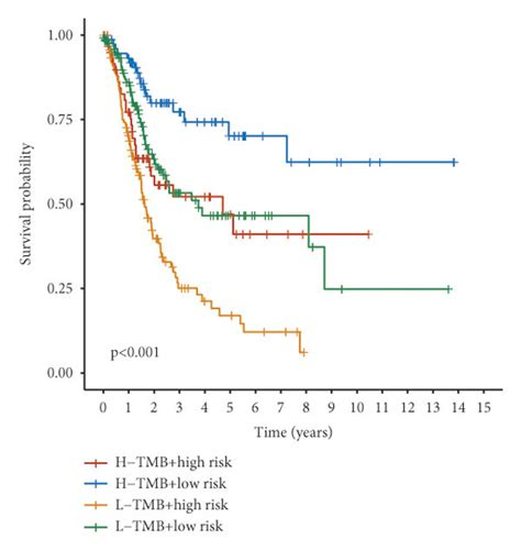 Relationship Between Tumor Mutation Burden Tmb And Risk Score A B Download Scientific