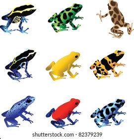 Poison Dart Frog Images Stock Photos Vectors Shutterstock