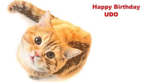 Udo Cats Gatos Happy Birthday Youtube