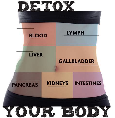 Detox 101 How To Enhance Your Bodys Detoxification Just In Health