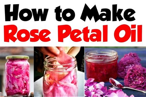 How to Make Rose Petal Oil that Smells Insanely Good!