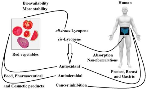 Bio Availability Anticancer Potential And Chemical Data Of Lycopene