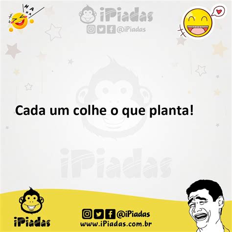 Cada Um Colhe O Que Planta