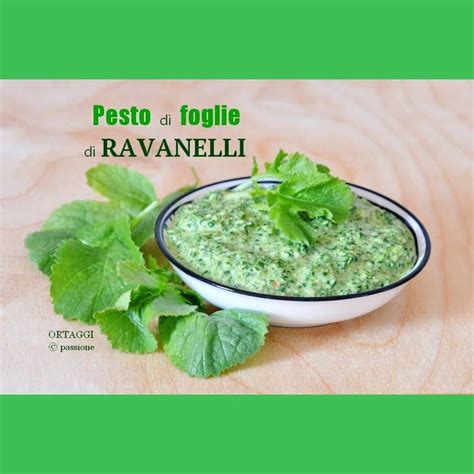 Il Pesto Di Foglie Di Ravanelli Un Condimento Per La Pasta Da