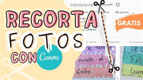 Como Recortar El Fondo De Una Imagen En Canva Image To U