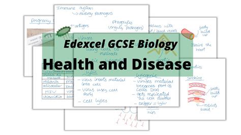 The Whole Of Edexcel Gcse Biology Health And Disease Youtube