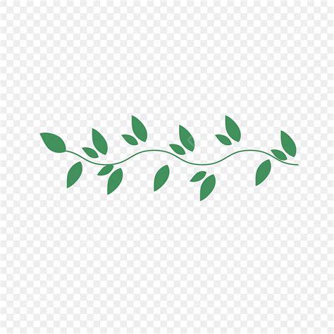 Leaf Divider White Transparent Leaf Green Curve Divider Leaves