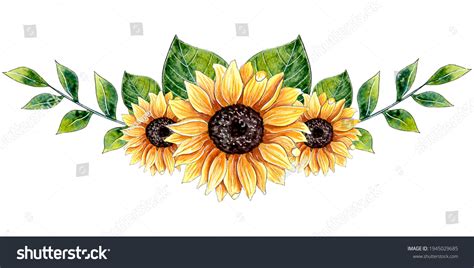 Sunflower Border: Over 11,760 Royalty-Free Licensable Stock Illustrations & Drawings | Shutterstock