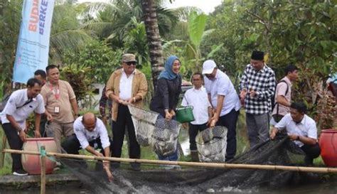 Budidaya Ikan Air Tawar Di Lombok Tengah