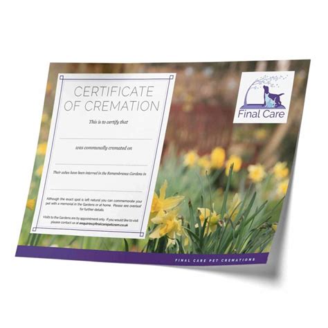 How The Service Works Final Care Pet Crematorium