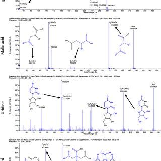 Mass/mass spectra showed a fragmentation pattern of most abundant... | Download Scientific Diagram