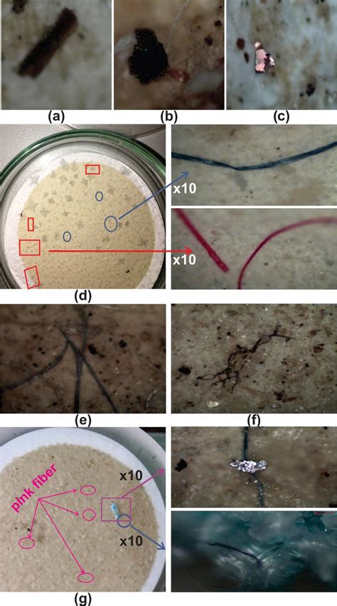 The Recognition Of Micro Plastics By Naked Eyes And Stereomicroscope Download Scientific